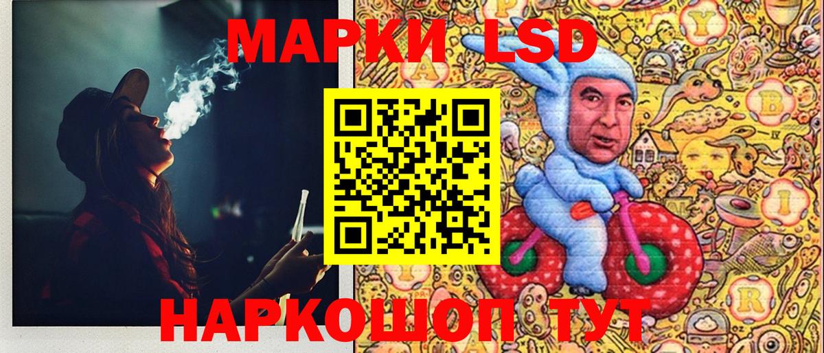НБОМе Надым