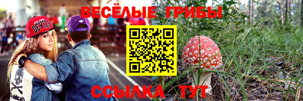 Псилоцибиновые грибы Magic Shrooms  Вход с VPN  Надым  Псилоцибиновые грибы Psilocybine cubensis 
